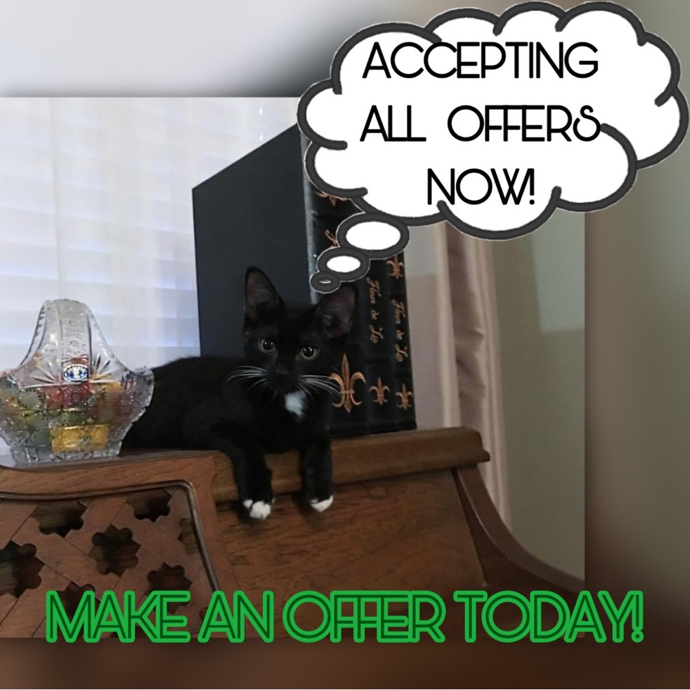 ACCEPTING ALL OFFERS NOW